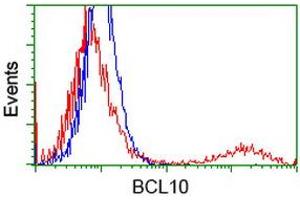 HEK293T cells transfected with either RC208752 overexpress plasmid (Red) or empty vector control plasmid (Blue) were immunostained by anti-BCL10 antibody (ABIN2454087), and then analyzed by flow cytometry. (BCL10 antibody)