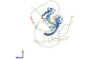 AlphaFold protein structure predicition of Human Recombinant UNK Protein, UniprotID Q9C0B0 (UNK Protein (AA 1-810) (His tag))