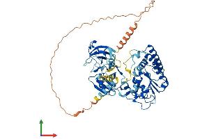 AlphaFold protein structure predicition of Human Recombinant WSCD2 Protein, UniprotID Q2TBF2 (WSCD2 Protein (AA 1-565) (His tag))