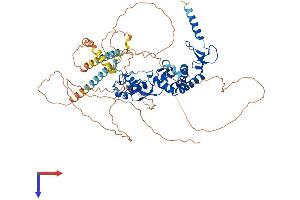 Chromosome 13 Open Reading Frame 18 (C13orf18) (AA 1-662) protein (His tag)