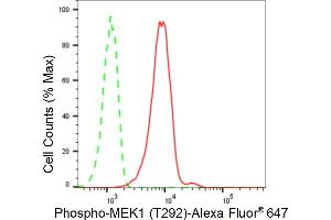 Flow cytometric analysis of Phospho-MEK1 (T292) expression in C2C12 cells using Phospho-MEK1 (T292) antibody (ABIN7799463), 1:2,000). (Recombinant MEK1 antibody  (pThr292))