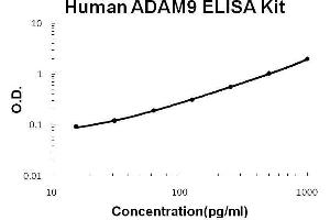 Human ADAM9 PicoKine ELISA Kit standard curve
