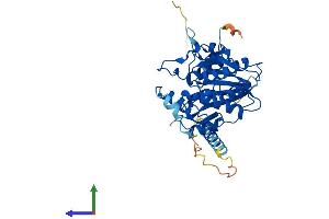 AlphaFold protein structure predicition of Human Recombinant B3GNT4 Protein, UniprotID Q9C0J1 (B3GNT4 Protein (AA 1-378) (His tag))