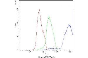 Flow cytometry testing of human MCF7 cells with DBI antibody at 1ug/10^6 cells (blocked with goat sera)