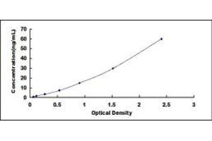 Typical standard curve (Apolipoprotein F ELISA Kit)