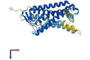 AlphaFold protein structure predicition of Human Recombinant OR4K3 Protein, UniprotID Q96R72 (OR4K3 Protein (AA 1-315) (His tag))
