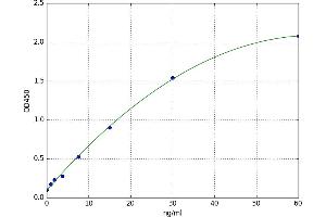 Matrix Extracellular phosphoglycoprotein (MEPE) ELISA Kit