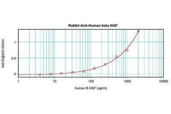 Nerve Growth Factor antibody