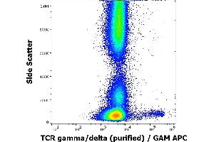 Flow cytometry surface staining pattern of human peripheral whole blood stained using anti-human TCR gamma/delta (11F2) purified antibody (concentration in sample 1,7 μg/mL, GAM APC). (TCR gamma/delta antibody)