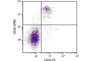 C57BL/6 mouse splenocytes were stained with Rat Anti-Mouse CD90-SPRD. (CD90 antibody  (SPRD))