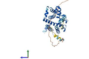 AlphaFold protein structure predicition of Human Recombinant TMEM38B Protein, UniprotID Q9NVV0