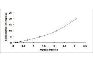 Typical standard curve (Biglycan ELISA Kit)