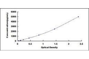 ELISA image for Defensin beta 2 (BD-2) ELISA Kit (ABIN416696)