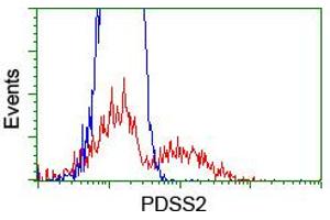 HEK293T cells transfected with either RC207892 overexpress plasmid (Red) or empty vector control plasmid (Blue) were immunostained by anti-PDSS2 antibody (ABIN2455314), and then analyzed by flow cytometry. (PDSS2 antibody)