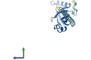 AlphaFold protein structure predicition of Human Recombinant CBFB Protein, UniprotID Q13951 (CBFB Protein (AA 1-182) (His tag))
