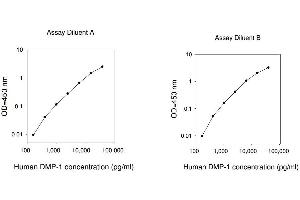 DMP1 ELISA Kit