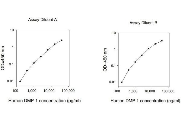 DMP1 ELISA Kit