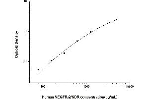 Typical standard curve (VEGFR2/CD309 ELISA Kit)