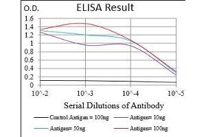 Black line: Control Antigen (100 ng), Purple line: Antigen(10 ng), Blue line: Antigen (50 ng), Red line: Antigen (100 ng), (RAP1GAP antibody  (AA 412-660))