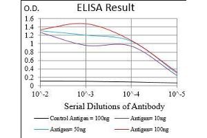 Black line: Control Antigen (100 ng), Purple line: Antigen(10 ng), Blue line: Antigen (50 ng), Red line: Antigen (100 ng), (RAP1GAP antibody  (AA 412-678))