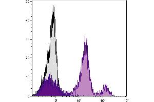 BALB/c mouse bone marrow cells were stained with Rat Anti-Mouse Ly-6C-BIOT. (Ly6C antibody  (Biotin))