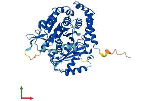 AlphaFold protein structure predicition of Human Recombinant TUBA1A Protein, UniprotID Q71U36 (TUBA1A Protein (AA 1-451) (His tag))