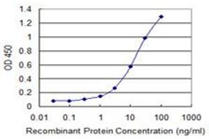 Detection limit for recombinant GST tagged RUVBL2 is 0. (RUVBL2 antibody  (AA 1-463))