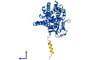 AlphaFold protein structure predicition of Mouse Recombinant Setd4 Protein, UniprotID P58467 (SETD4 Protein (AA 1-439) (His tag))