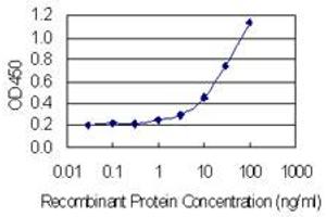 Detection limit for recombinant GST tagged ING4 is 0. (ING4 antibody  (AA 1-249))
