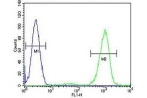 ADA antibody flow cytometric analysis of HL-60 cells (right histogram) compared to a negative control (left histogram). (ADA antibody  (AA 287-314))