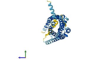 AlphaFold protein structure predicition of Mouse Recombinant Sucnr1 Protein, UniprotID Q99MT6