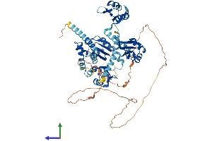 AlphaFold protein structure predicition of Human Recombinant PABPC1 Protein, UniprotID P11940 (PABP Protein (AA 1-636) (His tag))