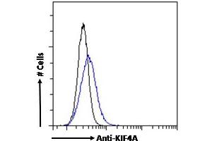 ABIN184768 Flow cytometric analysis of paraformaldehyde fixed HEK293 cells (blue line), permeabilized with 0. (KIF4A antibody  (C-Term))