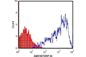 Flow Cytometry (FACS) image for anti-MHC, Class I H-2Kk antibody (PE) (ABIN953422) (H-2Kk antibody  (PE))