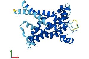AlphaFold protein structure predicition of Mouse Recombinant Slc25a21 Protein, UniprotID Q8BZ09 (SLC25A21 Protein (AA 1-298) (His tag))