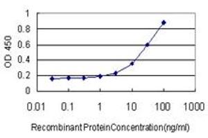 Detection limit for recombinant GST tagged MEF2A is approximately 1ng/ml as a capture antibody. (MEF2A antibody  (AA 71-170))