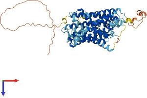 AlphaFold protein structure predicition of Mouse Recombinant Slc38a3 Protein, UniprotID Q9DCP2 (SLC38A3 Protein (AA 1-505) (His tag))