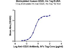 Immobilized Biotinylated Human CD20 at 5 μg/mL (100 μL/Well) on the plate. (CD20 Protein (AA 141-188) (His-Avi Tag,Biotin))