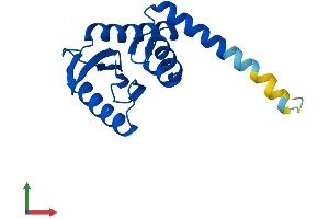 AlphaFold protein structure predicition of Mouse Recombinant Ap1s2 Protein, UniprotID Q9DB50 (AP1S2 Protein (AA 1-160) (His tag))