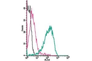 anti-Nerve Growth Factor Receptor (NGFR) (AA 188-203), (Extracellular) antibody