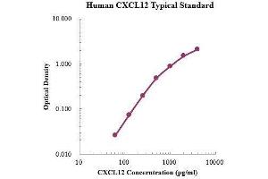 ELISA image for Chemokine (C-X-C Motif) Ligand 12 (CXCL12) ELISA Kit (ABIN3198419)