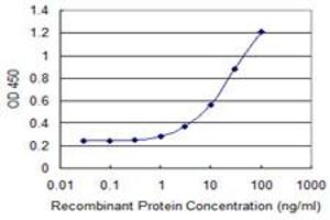 Detection limit for recombinant GST tagged RTKN2 is 0. (RTKN2 antibody  (AA 1-163))