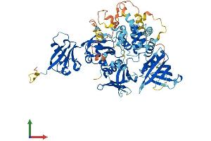 Protein Structure (PS) image for Fermitin Family Member 2 (FERMT2) (AA 1-680) protein (His tag) (ABIN7553944)