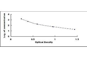 Typical standard curve (AGE ELISA Kit)