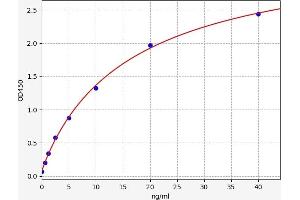 Typical standard curve (SLC18A3 ELISA Kit)