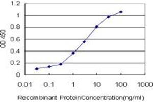 Image no. 3 for anti-Early Growth Response 1 (EGR1) (AA 444-544) antibody (ABIN466006) (EGR1 antibody  (AA 444-544))