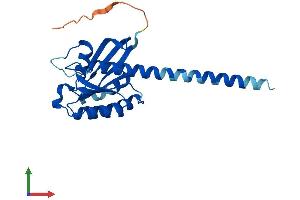 AlphaFold protein structure predicition of Mouse Recombinant Rit2 Protein, UniprotID P70425