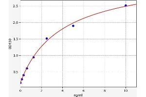 Typical standard curve (DUSP1 ELISA Kit)