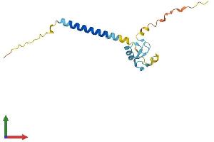 Protein Structure (PS) image for Ring Finger Protein 24 (RNF24) (AA 1-148) protein (His tag) (ABIN7558558)