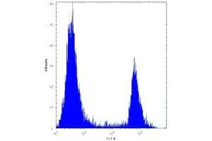 ANGPTL7 antibody flow cytometric analysis of 293 cells (right histogram) compared to a negative control (left histogram). (ANGPTL7 antibody  (AA 300-350))